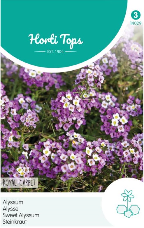 Alyssum (Lobularia maritima) Royal Carpet cca 0,5 g semien